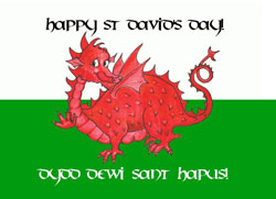st davids day