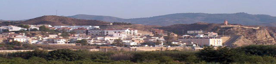 albox panorama
