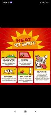 FB_IMG_16557312902931