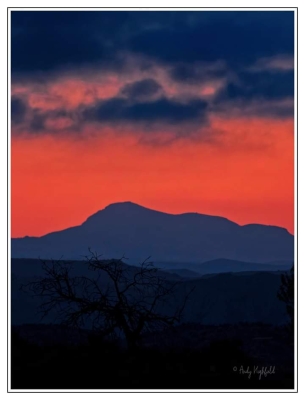 FB_IMG_1659078314691