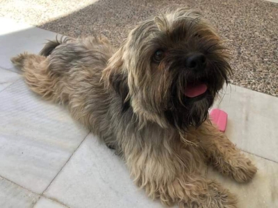 FB_IMG_1662475171320